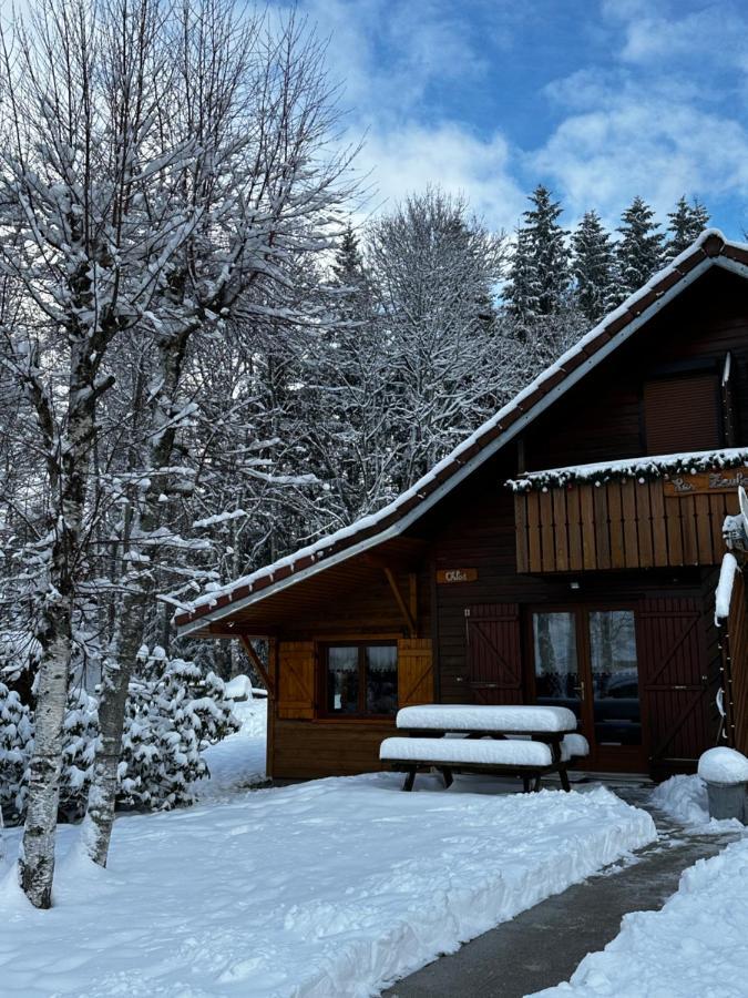 Chalet Chloe - Wifi, Bbq, Parking Ксорюпт-Лонжме Экстерьер фото